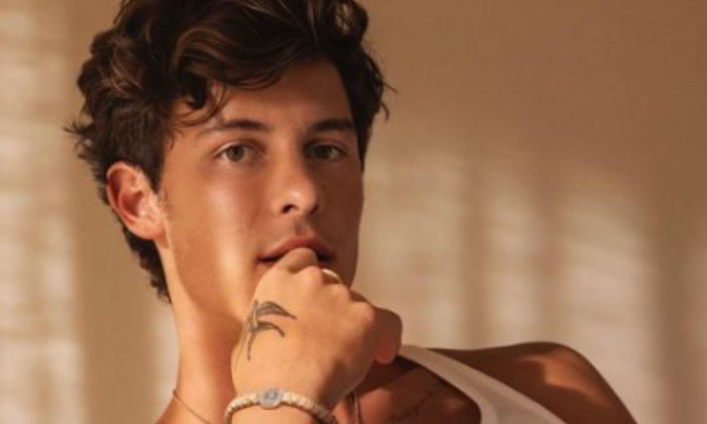 Shaw Mendes